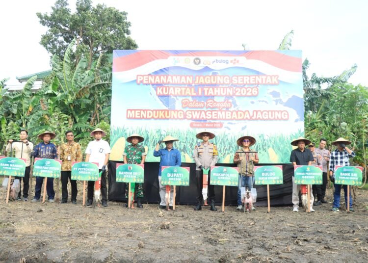 Dukung Swasembada Pangan Nasional, Polres Gresik Bersama Forkopimda Tanam Jagung 1,2 Hektare di Kebomas