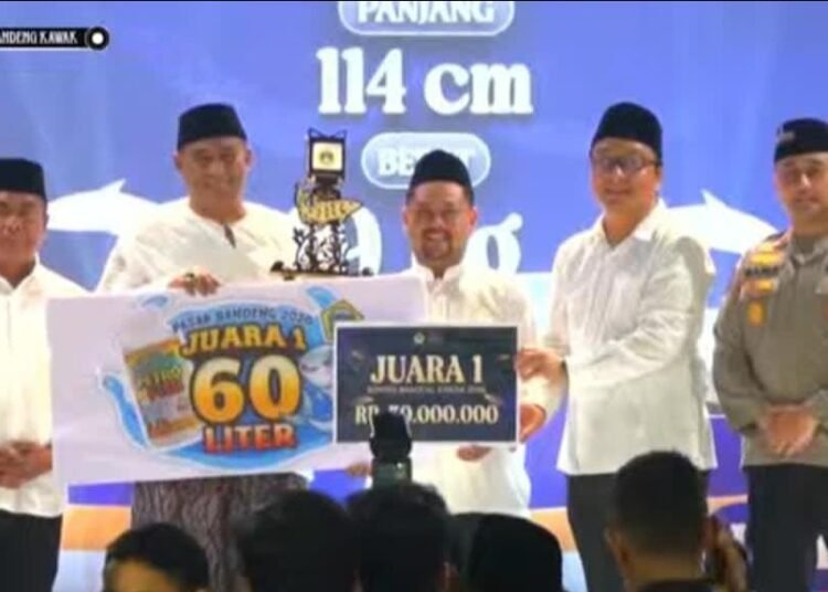 Dan Juara 1 Kontes Bandeng Kawak Gresik 2026 Kembali Diraih Kades Pangkahwetan Syaifullah Mahdi