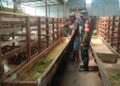Jelang Idul Kurban, Babinsa Balongpanggang Berikan Motivasi Peternak Kambing Desa Wonorejo 