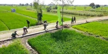 Pra TMMD ke-128 Tahun 2026, Sinergi Bangun Infrastruktur di Desa Slempit Kedamean