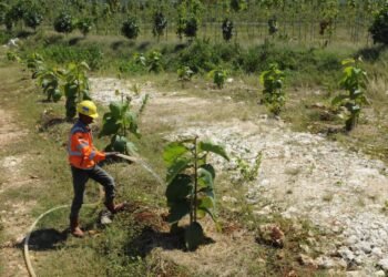 Transformasi Hijau SIG: Dari Limbah Jadi Energi hingga Reklamasi