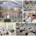 Rutinan Majelis Siji Bersholawat, Kirim Doa dan Ngaji kitab Riyadus Sholihin di Masjid Al-Muttaqin