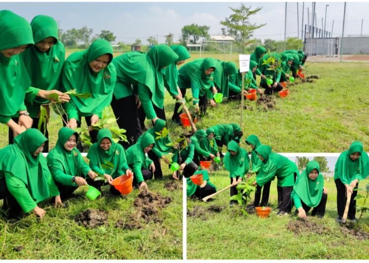 Hijaukan Gresik, Persit KCK Cabang XLIV Kodim 0817/Gresik Giat Penanaman Pohon Sukseskan TMMD ke-128