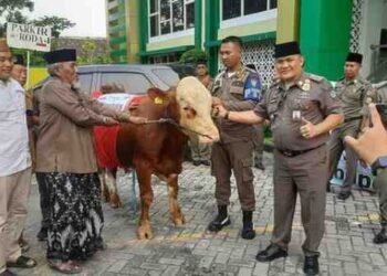 Ketua Umum MUI Gresik Apresiasi Semangat Satpol PP Berkurban Sapi: Sinergi Positif Perkuat Nilai-nilai Sosial Kemasyarakatan