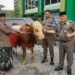 Ketua Umum MUI Gresik Apresiasi Semangat Satpol PP Berkurban Sapi: Sinergi Positif Perkuat Nilai-nilai Sosial Kemasyarakatan