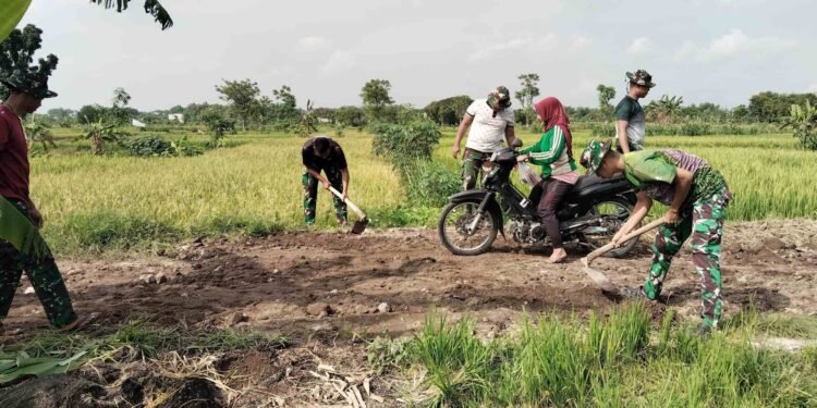 Tak Hanya Poros Desa, Satgas TMMD 128 Kodim 0817/Gresik juga Garap Jalan Usaha Tani