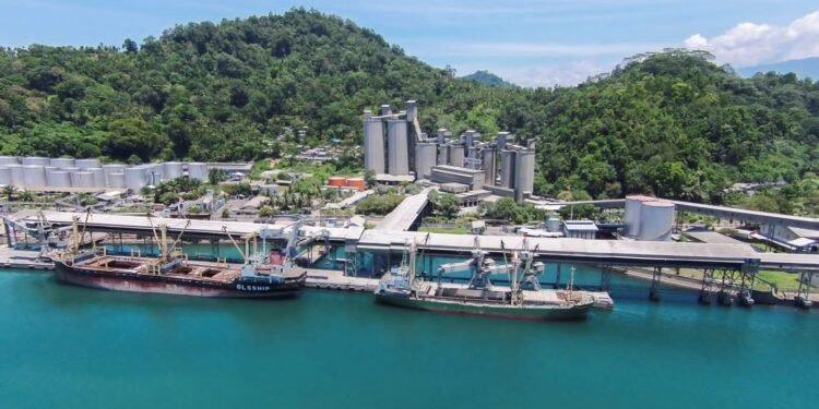 Usai Tembus Pasar di Benua Afrika, Kini 11.275 Metrik Ton Semen Gresik Diekspor ke Prancis