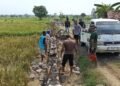 Di Tengah Sawah Desa Slempit, Semangat Gotong Royong TMMD Tak Pernah Surut