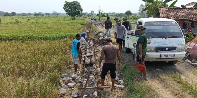 Di Tengah Sawah Desa Slempit, Semangat Gotong Royong TMMD Tak Pernah Surut