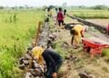 Pembangunan Tembok Penahan Tanah Capai 80 Persen, Semangat Gotong Royong Warga dan TNI Kian Kokoh