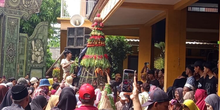 Semarak Sedekah Bumi Dusun Banjarsari Cerme Warga Berebut Gunungan Hasil Bumi