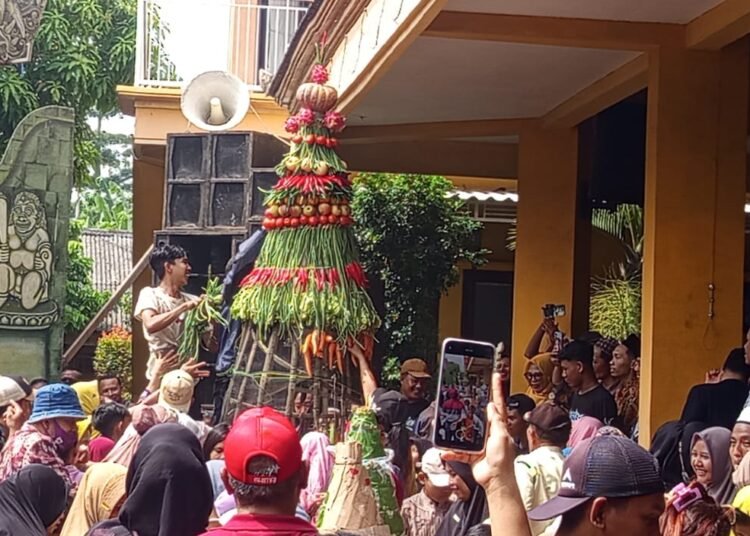 Semarak Sedekah Bumi Dusun Banjarsari Cerme Warga Berebut Gunungan Hasil Bumi