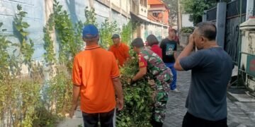 Babinsa Kemuteran Gresik Ajak Warga Rawat Lingkungan, Ciptakan Kawasan Asri dan Nyaman