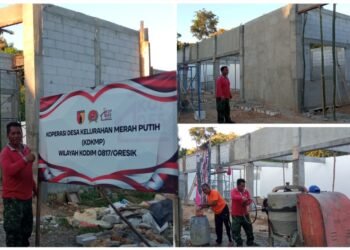 Patut Dicontoh Babinsa lainnya !! Sertu Lazarus Tegak Lurus Awasi Pembangunan Koperasi Merah Putih di Desa Bedanten Bungah