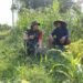 Tanpa Sekat, Dandim Gresik Duduk Bersama di Tengah Ladang Dengarkan Keluh Kesah Mbah Gimin