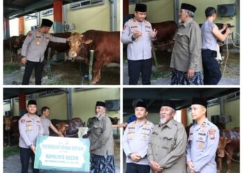 Polres Gresik Salurkan Hewan Qurban Iduladha 2026: 15 Ekor Sapi dan 76 Kambing