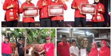 Ketua DPC PDI Perjuangan Gresik Salurkan Hewan Kurban untuk Ponpes dan Masyarakat
