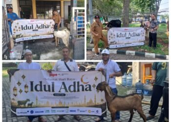 Rayakan Idul Adha, BKMS Bersama Tenant JIIPE Bagikan 8 Ekor Sapi dan 36 Kambing