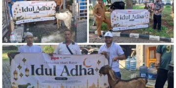 Rayakan Idul Adha, BKMS Bersama Tenant JIIPE Bagikan 8 Ekor Sapi dan 36 Kambing