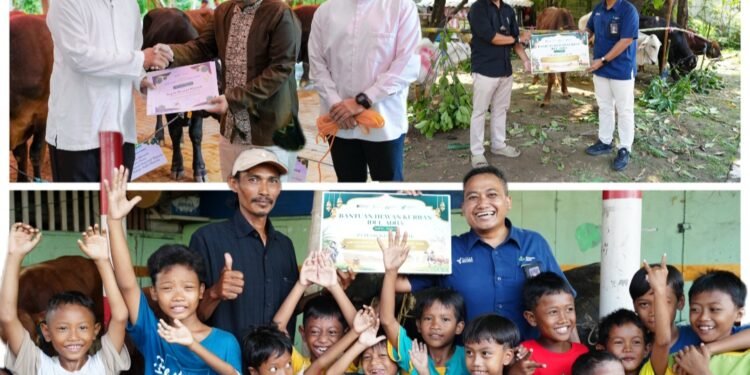 Idul Adha 1447 H, Petrokimia Gresik Salurkan 187 Hewan Kurban Senilai Rp1,8 Miliar untuk Masyarakat