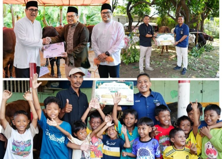 Idul Adha 1447 H, Petrokimia Gresik Salurkan 187 Hewan Kurban Senilai Rp1,8 Miliar untuk Masyarakat