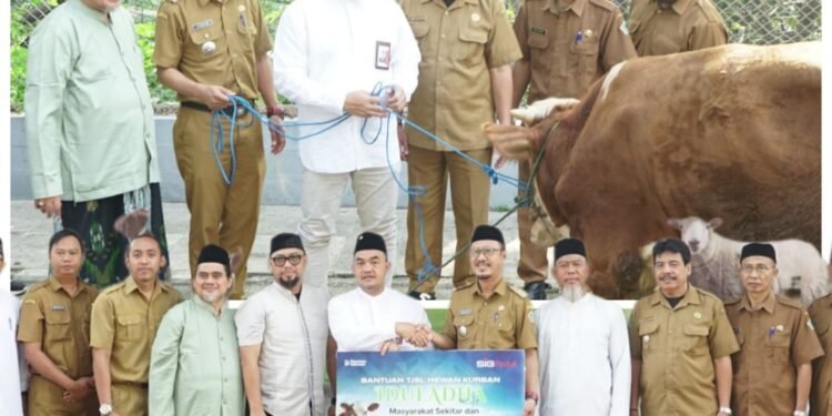 Gratis !! SIG Bagikan 186 Sapi dan 106 Kambing untuk Masyarakat di Momen Idul Adha 1447 H