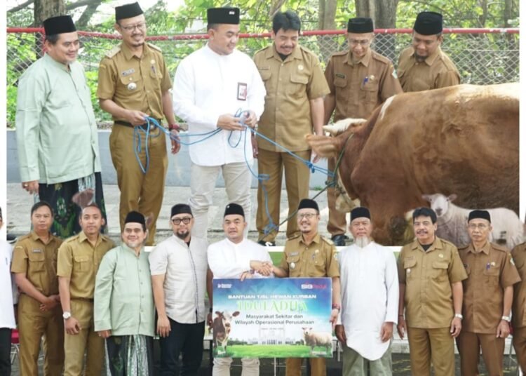 Gratis !! SIG Bagikan 186 Sapi dan 106 Kambing untuk Masyarakat di Momen Idul Adha 1447 H