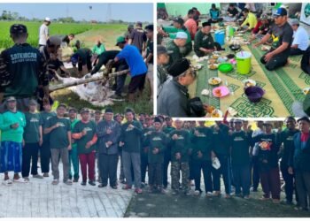 Berbagi Keberkahan Idul Adha 1447 H, MWCNU Dukun Sembelih 3 Ekor Sapi dan 7 Kambing
