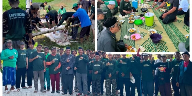 Berbagi Keberkahan Idul Adha 1447 H, MWCNU Dukun Sembelih 3 Ekor Sapi dan 7 Kambing