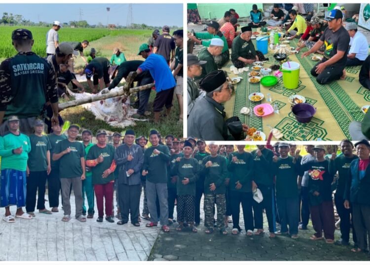 Berbagi Keberkahan Idul Adha 1447 H, MWCNU Dukun Sembelih 3 Ekor Sapi dan 7 Kambing