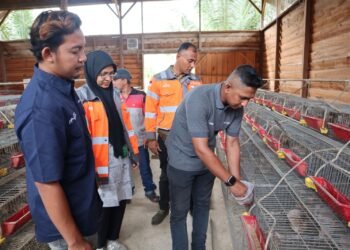 Olah Sampah Kelapa Jadi Pakan Ternak, SIG Tingkatkan Kualitas Lingkungan dan Kesejahteraan Masyarakat di Aceh