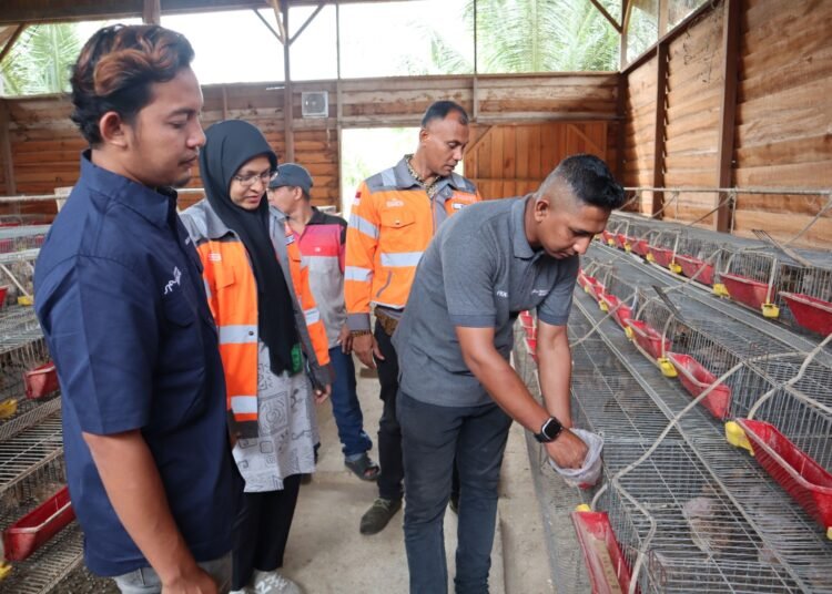 Olah Sampah Kelapa Jadi Pakan Ternak, SIG Tingkatkan Kualitas Lingkungan dan Kesejahteraan Masyarakat di Aceh