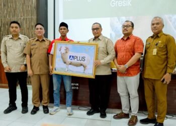 Pemkab Gresik Perkuat Sektor Peternakan: Kambing Domba Bakal Jadi Produk Bernilai Tambah