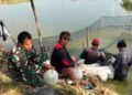 Babinsa Hadir di Tengah Petani Tambak, Panen Bibit Bandeng Jadi Wujud Nyata Pendampingan Masyarakat