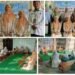 Tasmi’ Al-Qur’an di MIN 2 Gresik Ikhtiar Cetak Generasi Qurani Berakhlak Mulia