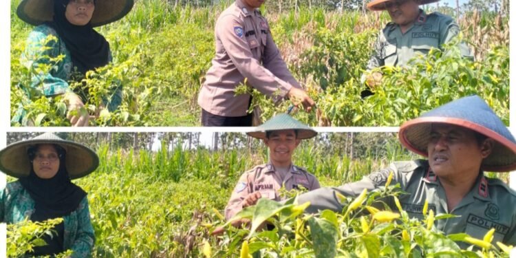 Dukung Program Ketahanan Pangan Nasional, Polsek Panceng Polres Gresik Dampingi Petani Tingkatkan Hasil Pertanian