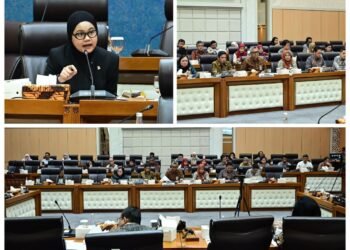 RUU Kawasan Industri Jadi Kunci Akselerasi Investasi, Nila Yani Hardiyanti Desak Pengesahan sebagai ‘Lex Specialis’ Ekonomi Nasional
