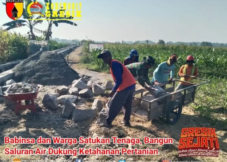 Babinsa Balongpanggang Bersama Warga Satukan Tenaga Bangun Saluran Air untuk Dukung Ketahanan Pertanian