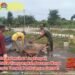 Babinsa Ujungpangkah Bersama Warga Bangun Tempat Pembuangan Sampah Wujudkan Lingkungan Bersih dan Sehat