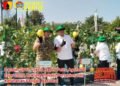 Dandim 0817/Gresik Hadiri Petro Agrifood Expo 2026: Dukung Inovasi Pertanian dan Ketahanan Pangan Nasional