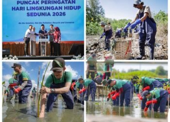 Inilah Aksi Nyata PT Freeport Indonesia di Gresik: Tanam 50 Ribu Mangrove dan Bersihkan 1,6 Ton Sampah di Pantai Kemukem Mengare
