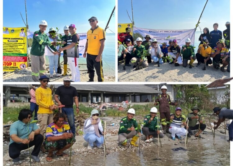 Hijaukan Pesisir, Sejahterakan Nelayan: PT Orela Shipyard Tanam Mangrove, Bangun Rumah Ikan, dan Salurkan Bantuan Jaring di Ujungpangkah