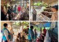 Bantuan Ayam Petelur untuk Guru Ngaji, Ikhtiar Lazis PT. PLN Nusantara Power Bersama Laznas Nurul Hayat Gresik Perkuat Pemberdayaan Ekonomi Masyarakat