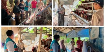 Bantuan Ayam Petelur untuk Guru Ngaji, Ikhtiar Lazis PT. PLN Nusantara Power Bersama Laznas Nurul Hayat Gresik Perkuat Pemberdayaan Ekonomi Masyarakat