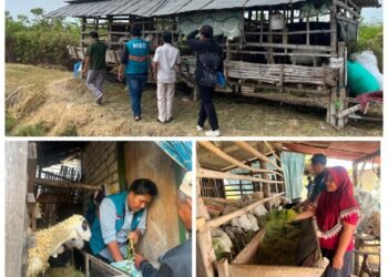 Ternak Desa Sejahtera, Ikhtiar LAZIS PT. PLN Nusantara Power Bersama Laznas Nurul Hayat Gresik Wujudkan Program Ketahanan Pangan