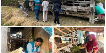 Ternak Desa Sejahtera, Ikhtiar LAZIS PT. PLN Nusantara Power Bersama Laznas Nurul Hayat Gresik Wujudkan Program Ketahanan Pangan