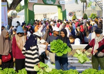 Di Gresik, Hanya Petro yang Mengajak Masyarakat Panen Bersama Buah dan Sayuran
