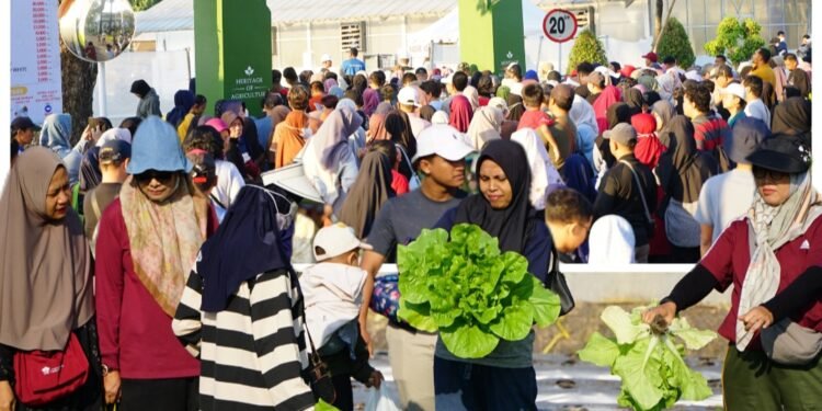 Di Gresik, Hanya Petro yang Mengajak Masyarakat Panen Bersama Buah dan Sayuran