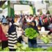 Di Gresik, Hanya Petro yang Mengajak Masyarakat Panen Bersama Buah dan Sayuran