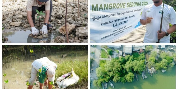 Tanam Ribuan Mangrove, PT Petrokimia Gresik Komitmen Jaga Ekosistem Pesisir